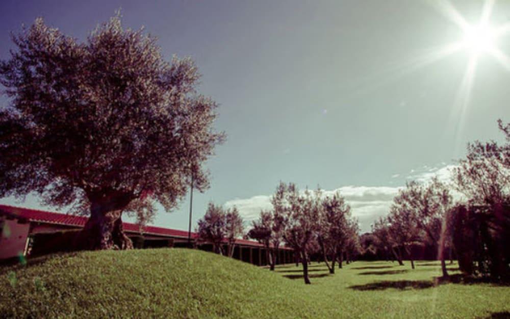 Ways Garden Hotel&leisure Hotel Rom